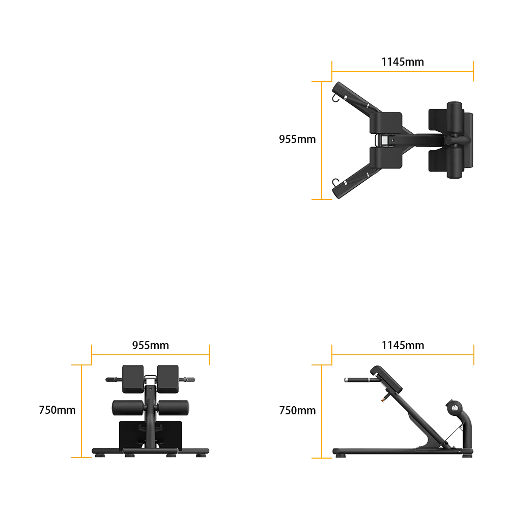 Back Extension - view 5
