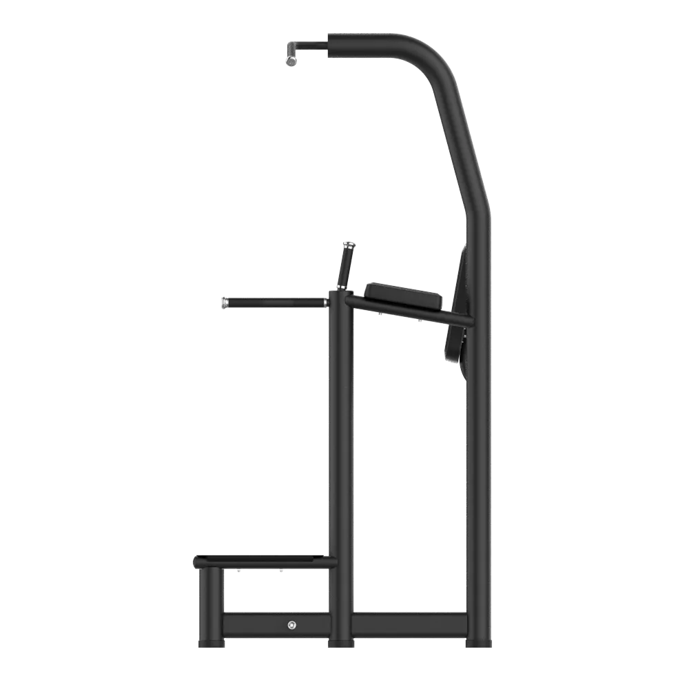 Multi Pull Up / Dip Rack - view 3