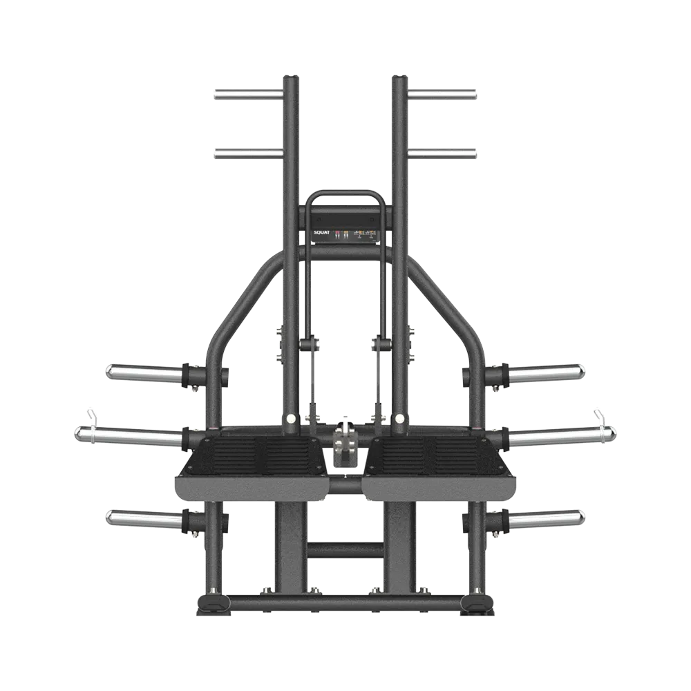 Belt Squat - view 2