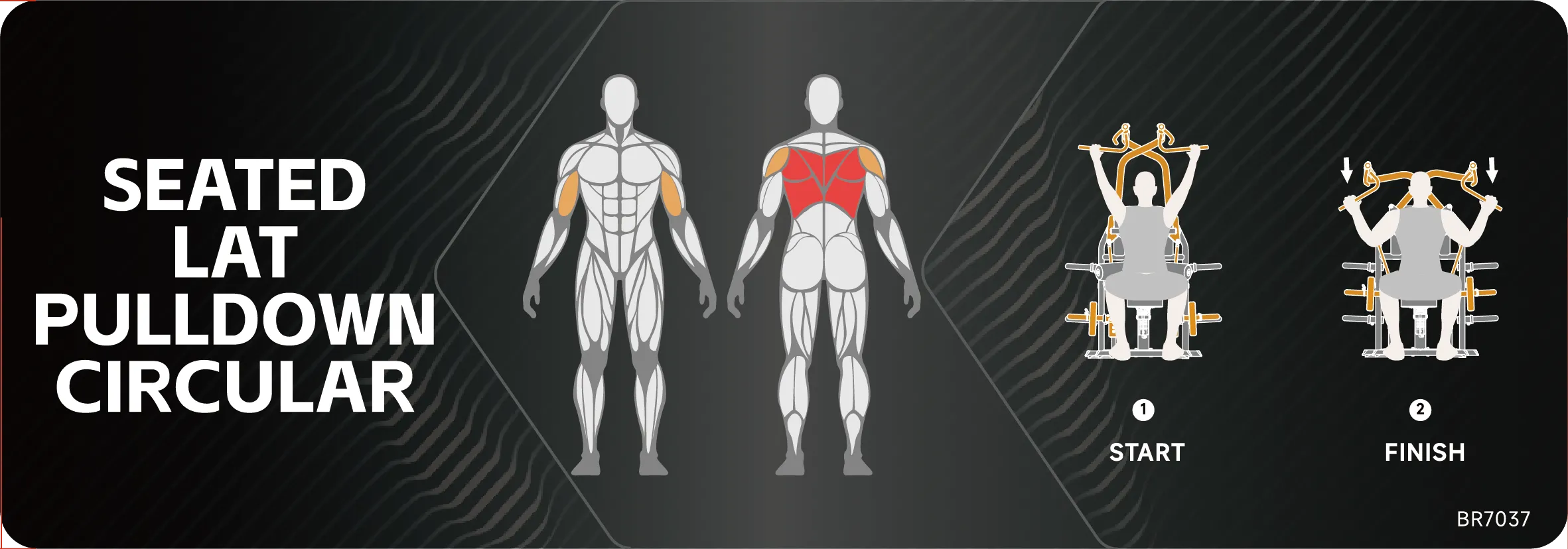 Seated Lat Pulldown Circular - view 5