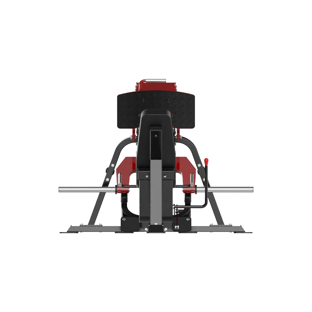 V Leg Press - view 2