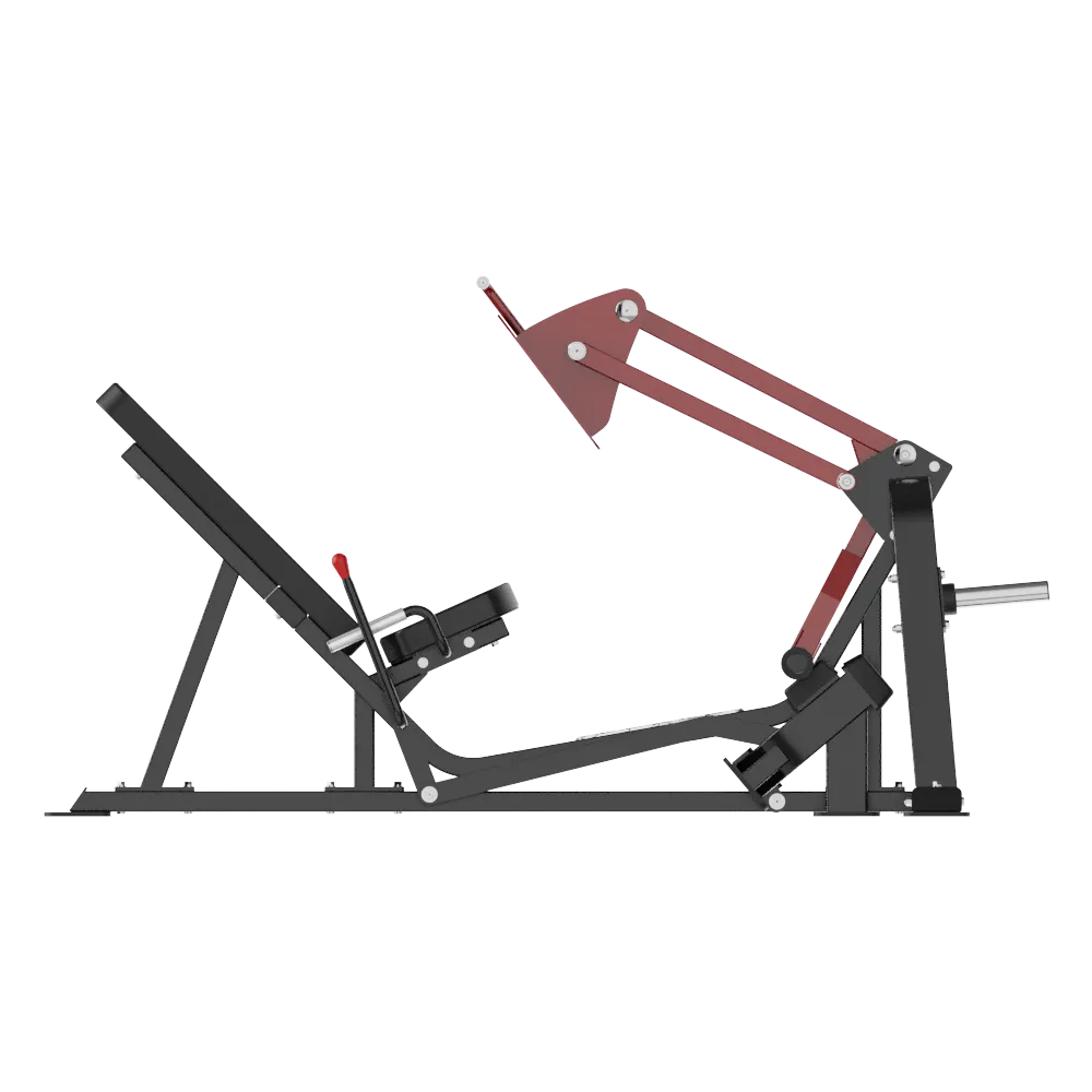 V Leg Press - view 3