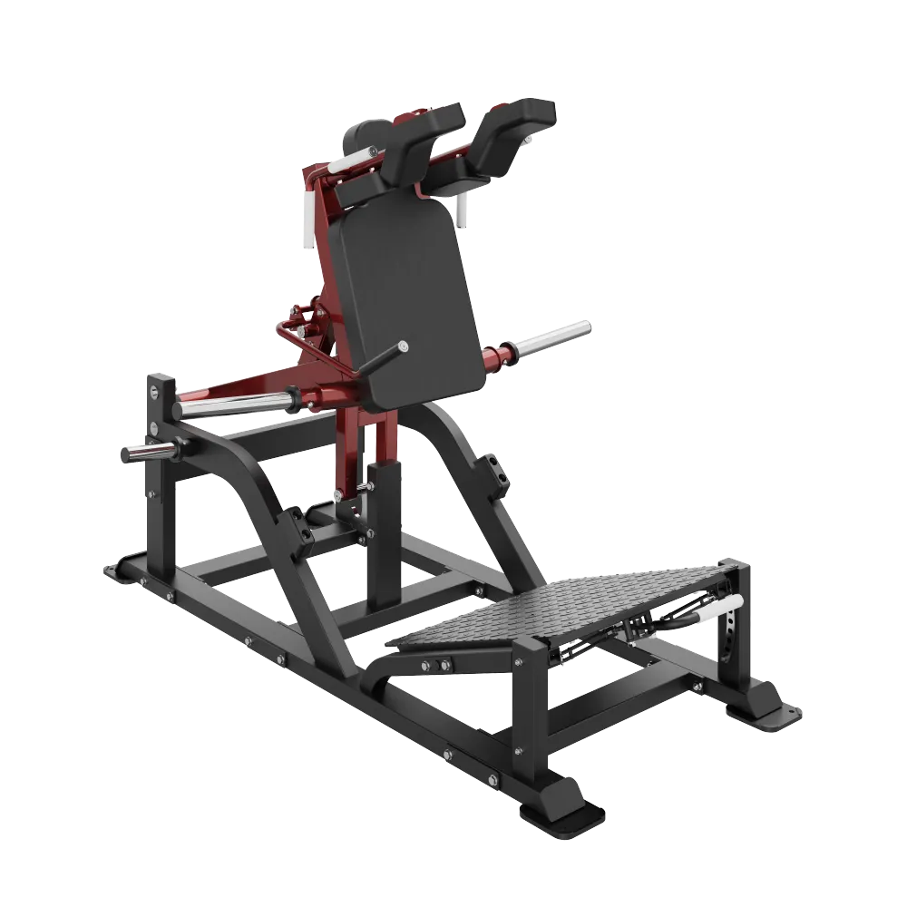 V-Squat - D Line fitness equipment