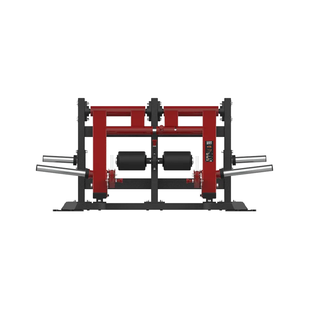 Multi-Squat Lunge - view 2