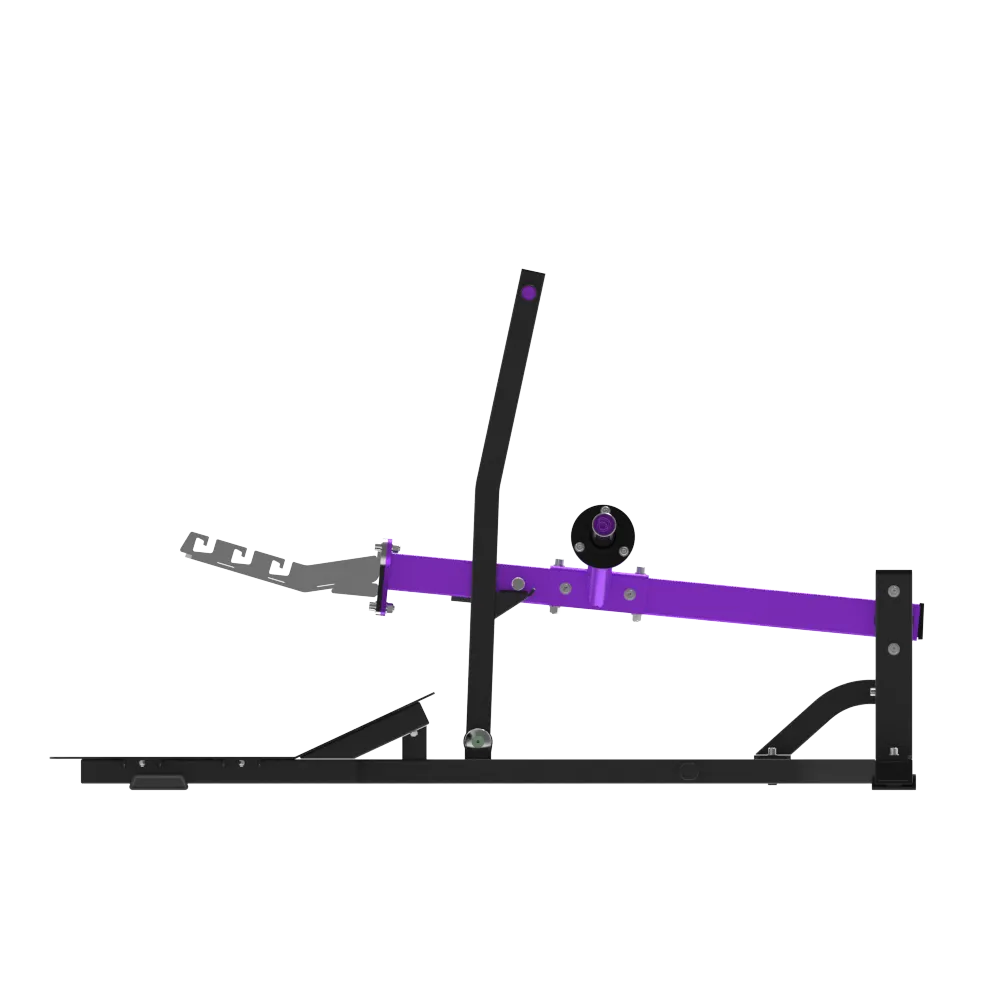 Belt Squat - view 4