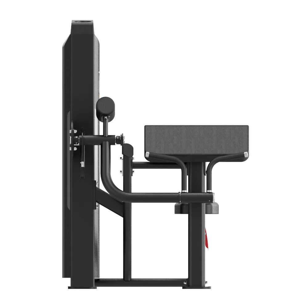 Biceps Curl - view 2